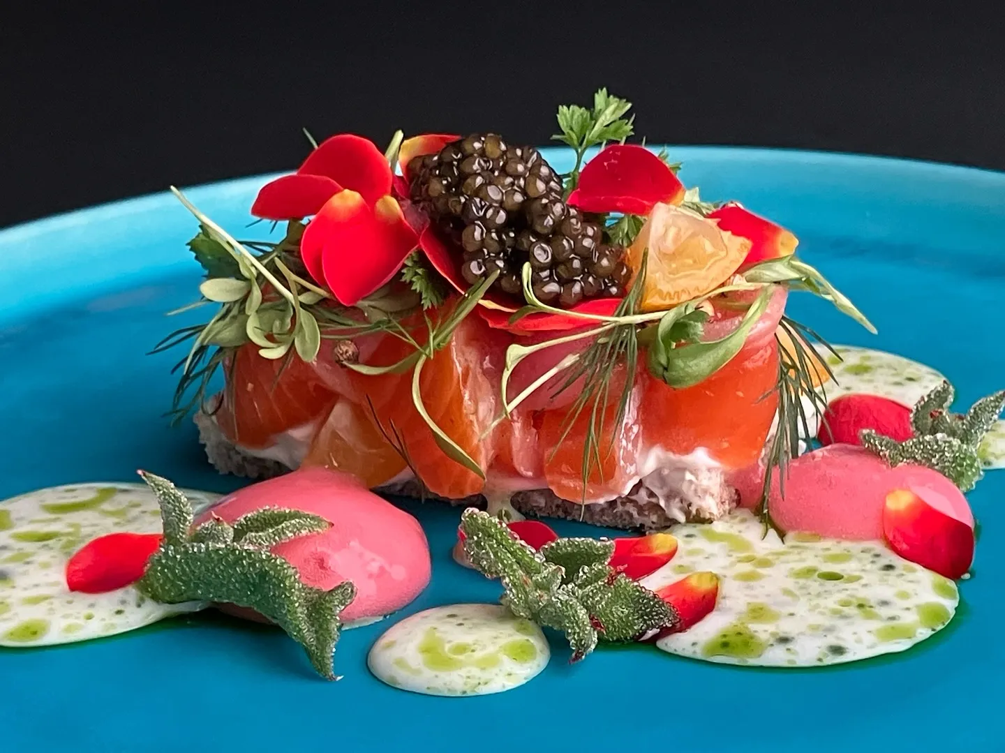 京都美食めぐり2025春