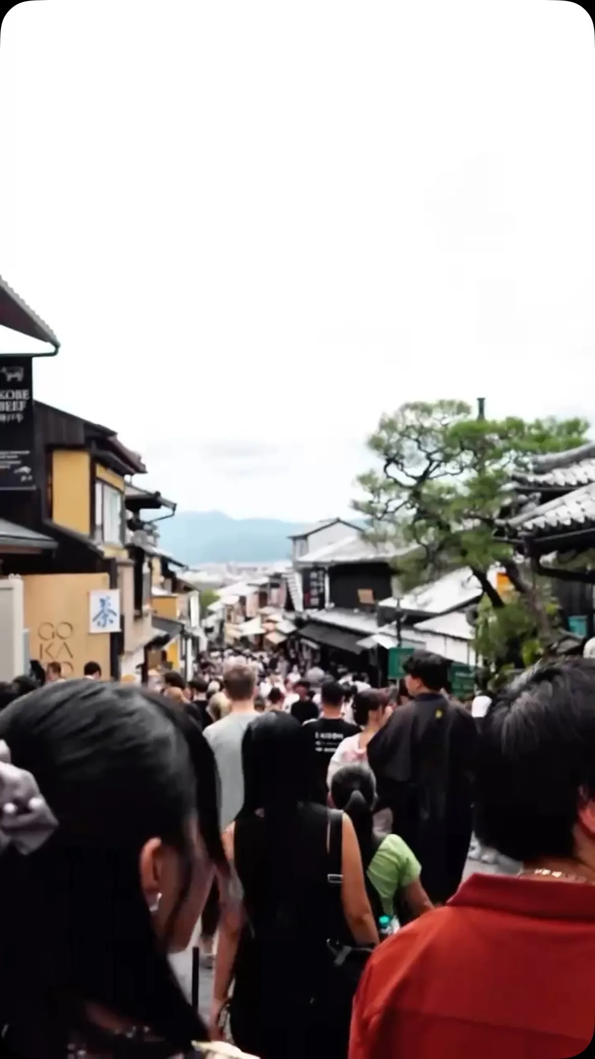 京都フレンチレストランSynagerかき氷イベント